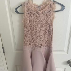 Chelsea Skater Dress in blush pink NWT